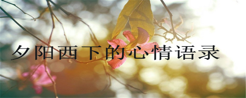 PcϦµZ䛣mϰlȦ
