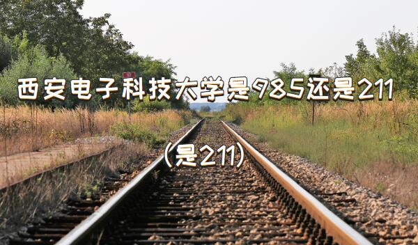 ӿƼW985߀211211