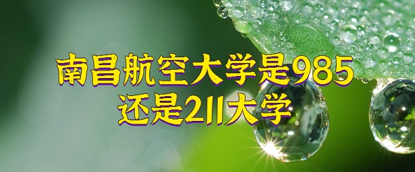 ϲմW985߀211Wʡ985/211ԺУΣ