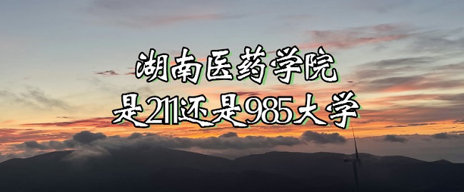tˎWԺ211߀985W