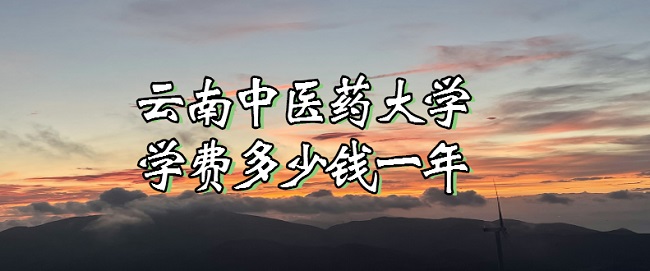 2023tˎWWMXһIM˜