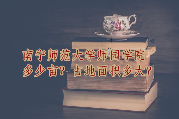 όW@WԺٮռe